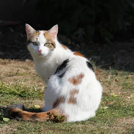 Meuble 2* Climatise Dans Un Quartier Calme Apartmán