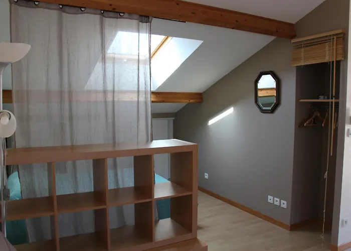 Meuble 2* Climatise Dans Un Quartier Calme דיז'ון