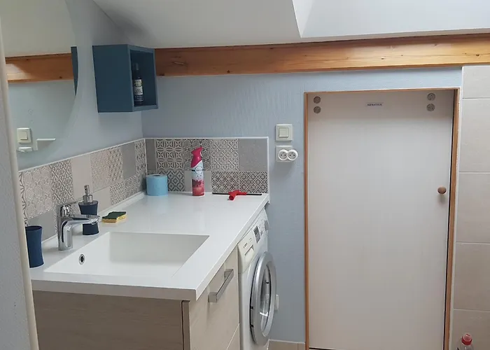 דירה Meuble 2* Climatise Dans Un Quartier Calme דיז'ון