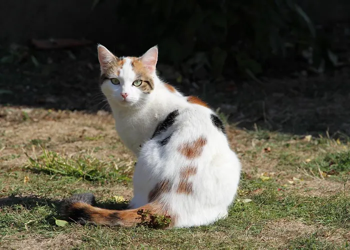 Meuble 2* Climatise Dans Un Quartier Calme Apartmán